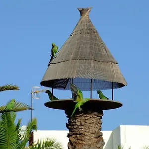 https://brand-new-apartment-in-primavera.tenerifehoteles.net